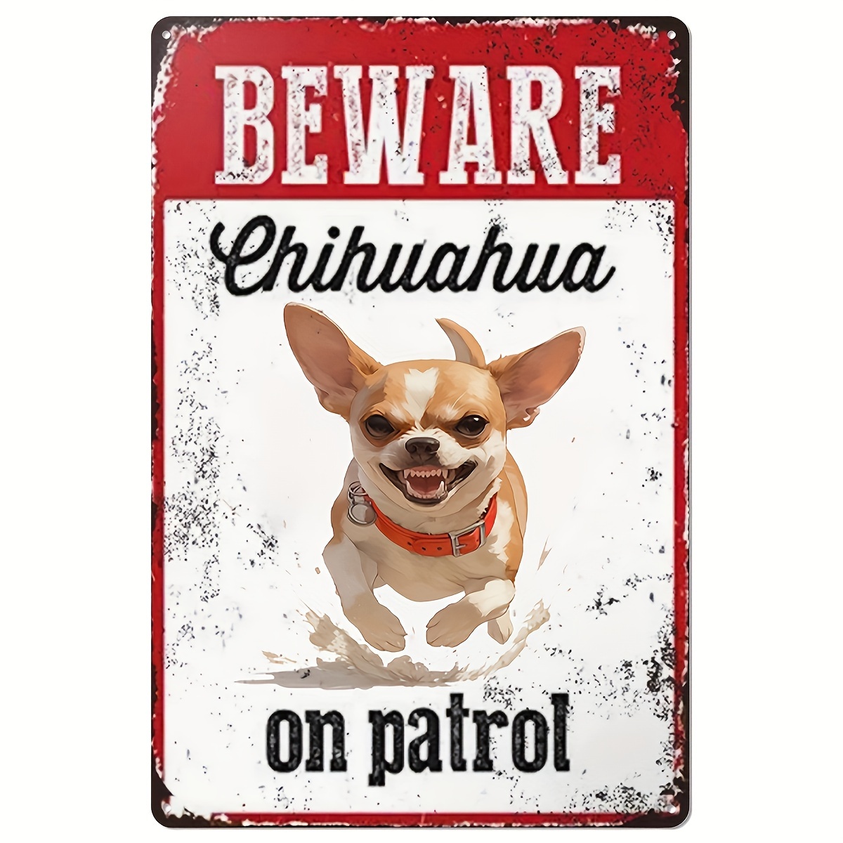 Home Security Usa - Hati-hati dengan Chihuahua Saat Berpatroli -