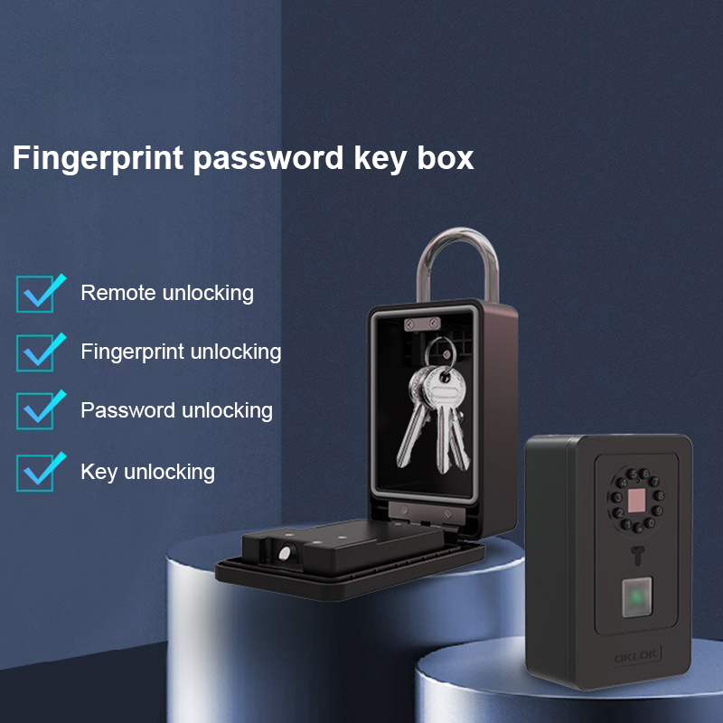 Kotak Penyimpanan Kata Sandi D - Home Security Key ulasan dan harga